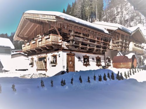Chalet Almchalet Almchalet - 12 personen